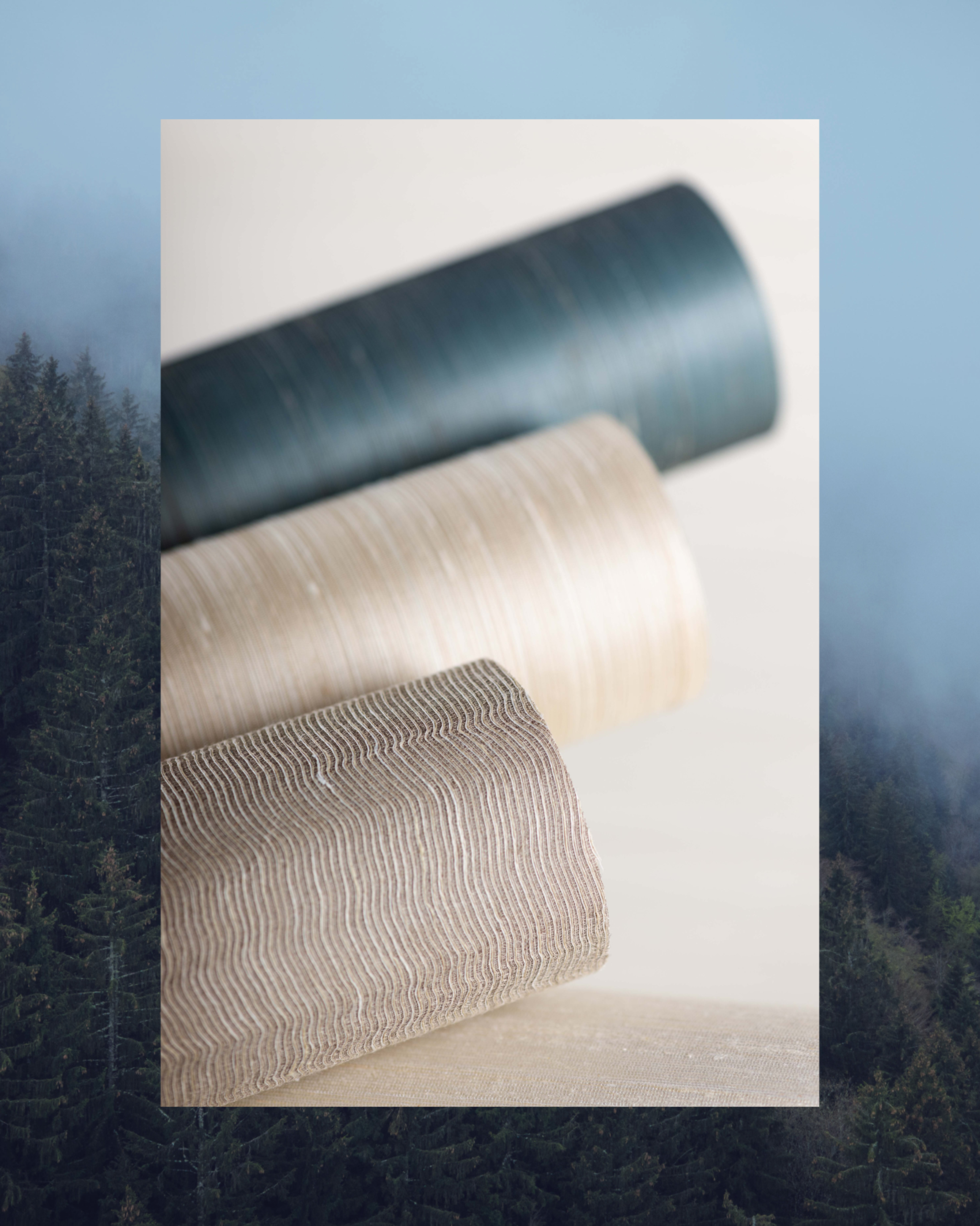 Blog Vertical Image Silk Wallcoverings Image 3