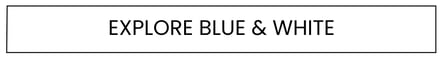 Blog Button Explore Blue & White
