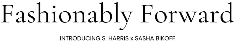 Blog Post Header Text Sasha Bikoff