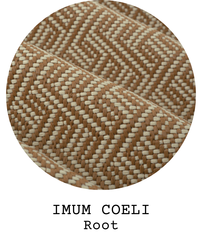 Imum Coeli in Root Interiors Fabric by S. Harris