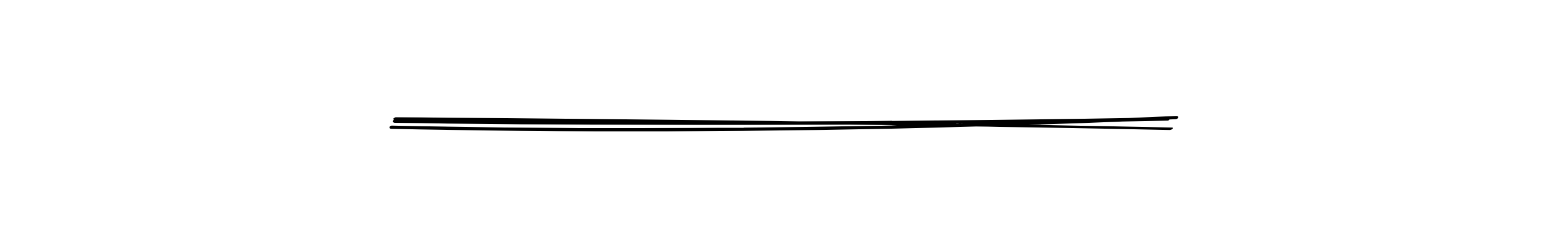 Blog Section Divider Double Pen Stroke