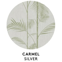 SH-StillLifeTedBaker-Carmel